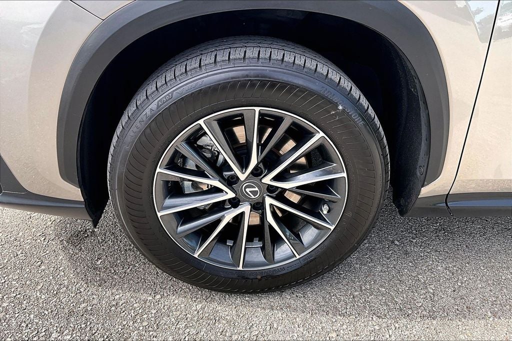 2023 Lexus NX 350 Premium