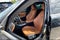 2022 BMW 3 Series 330i xDrive