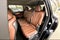 2026 Acura MDX Technology Package SH-AWD