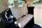2025 Acura MDX Technology Package SH-AWD