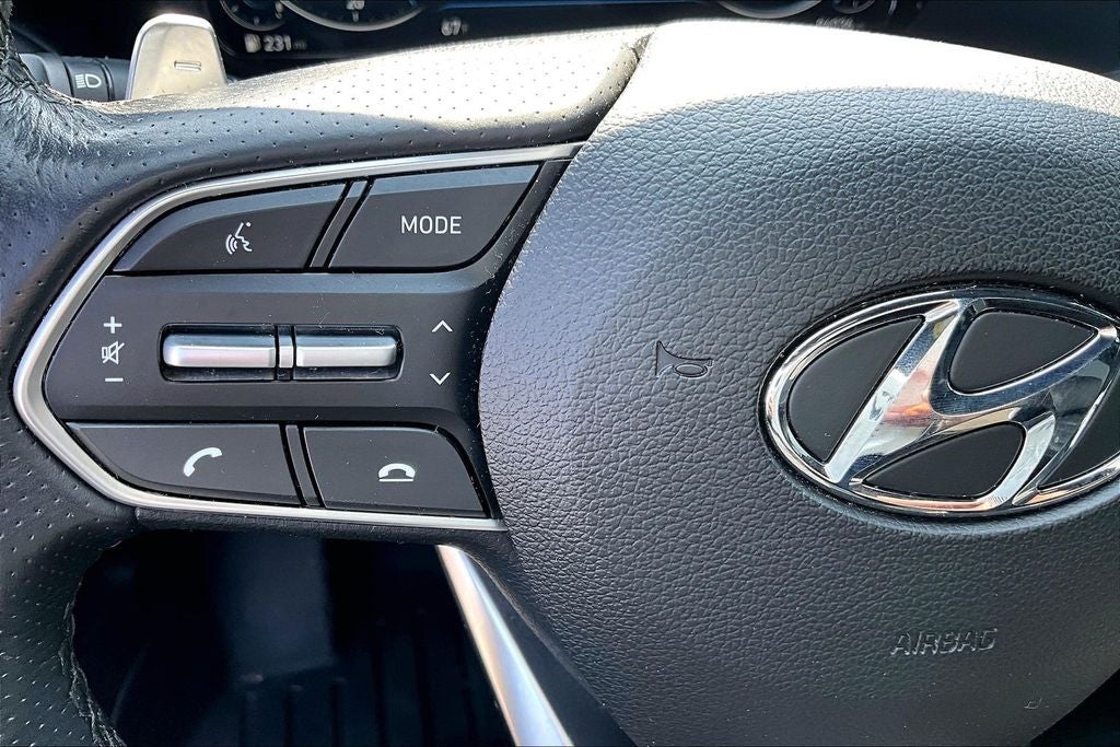 2021 Hyundai Palisade Calligraphy